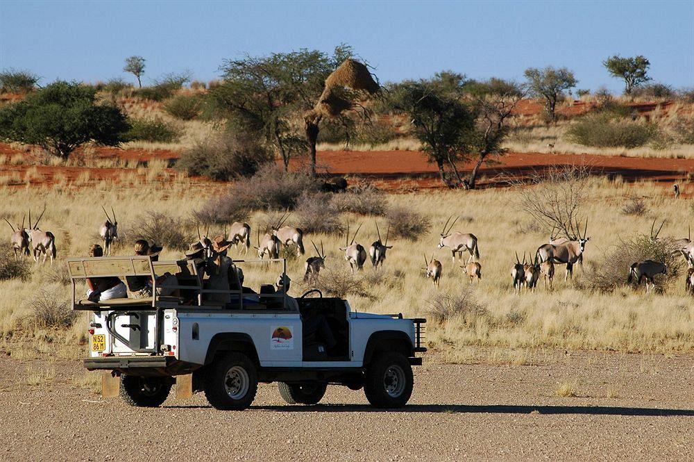 Kalahari Anib Lodge Intu Afrika Kalahari Game Reserve Exterior foto